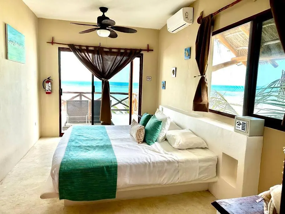 Casa Libelula Beachfront House Isla Holbox