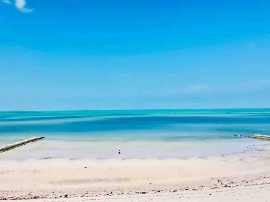 Casa Libelula Beachfront House Isla Holbox