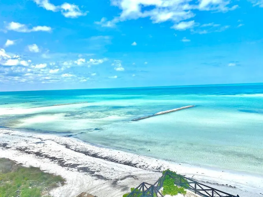 Villa Casa Libelula Beachfront House Isla Holbox