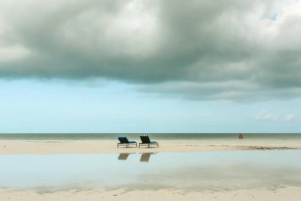 Villa Casa Libelula Beachfront House Isla Holbox