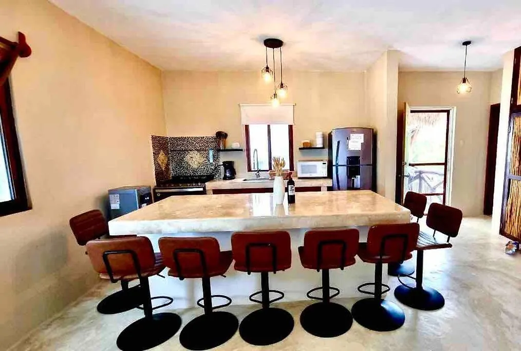 Casa Libelula Beachfront House Isla Holbox Villa