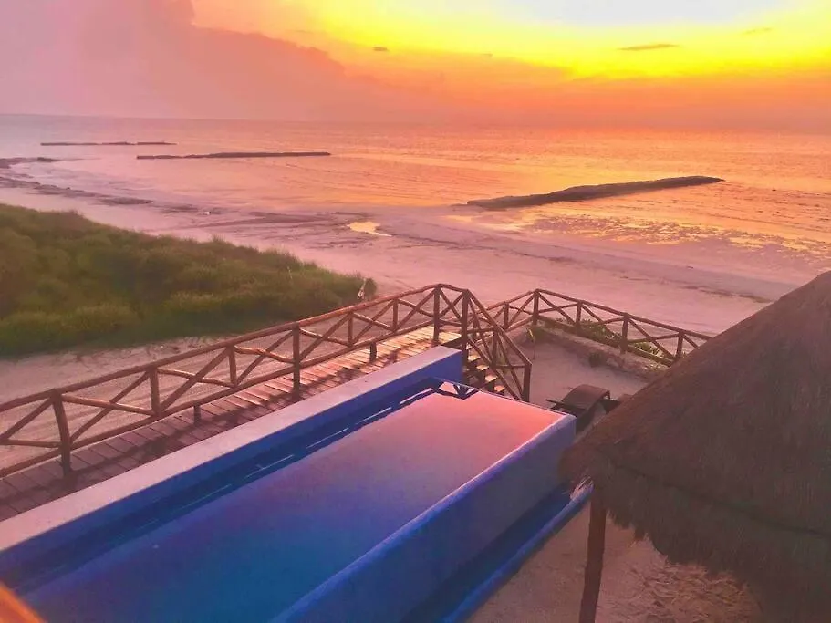 Casa Libelula Beachfront House Isla Holbox Villa