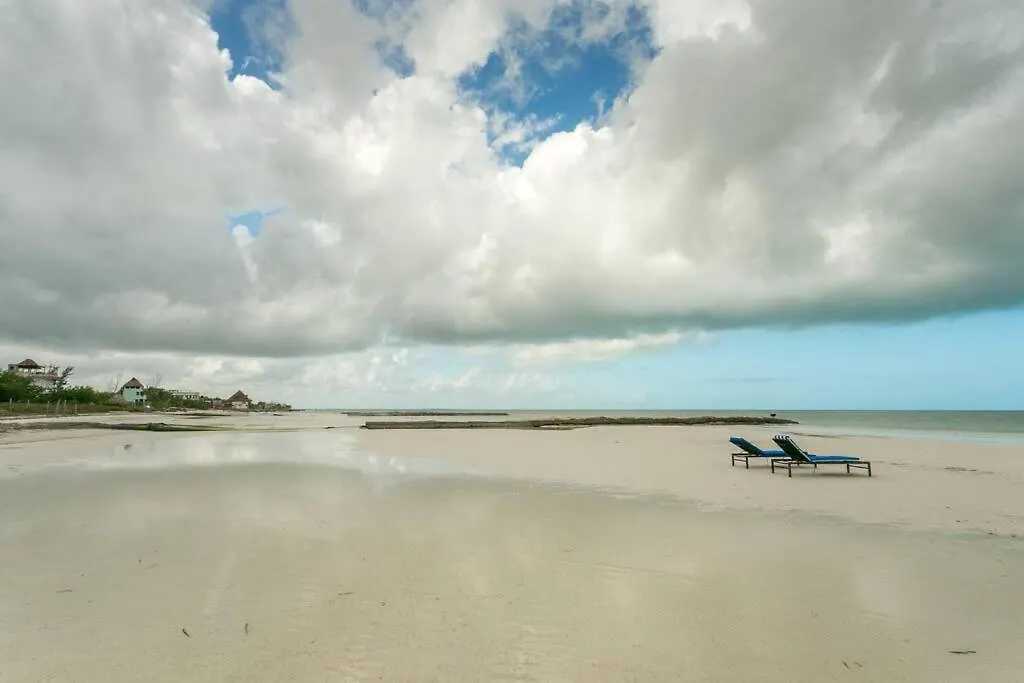 Villa Casa Libelula Beachfront House Isla Holbox