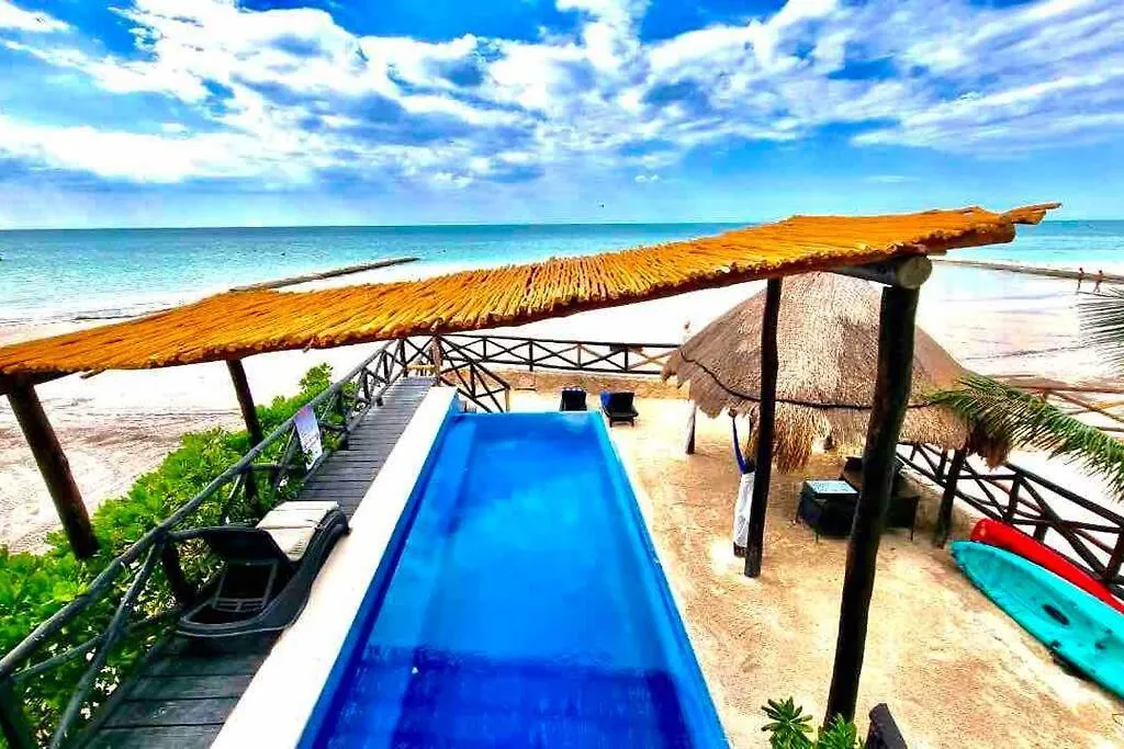 Casa Libelula Beachfront House Isla Holbox 0*,