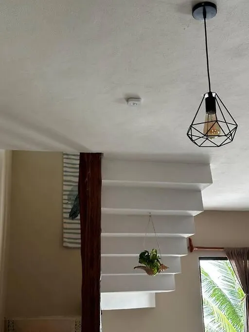 Casa Libelula Beachfront House Isla Holbox