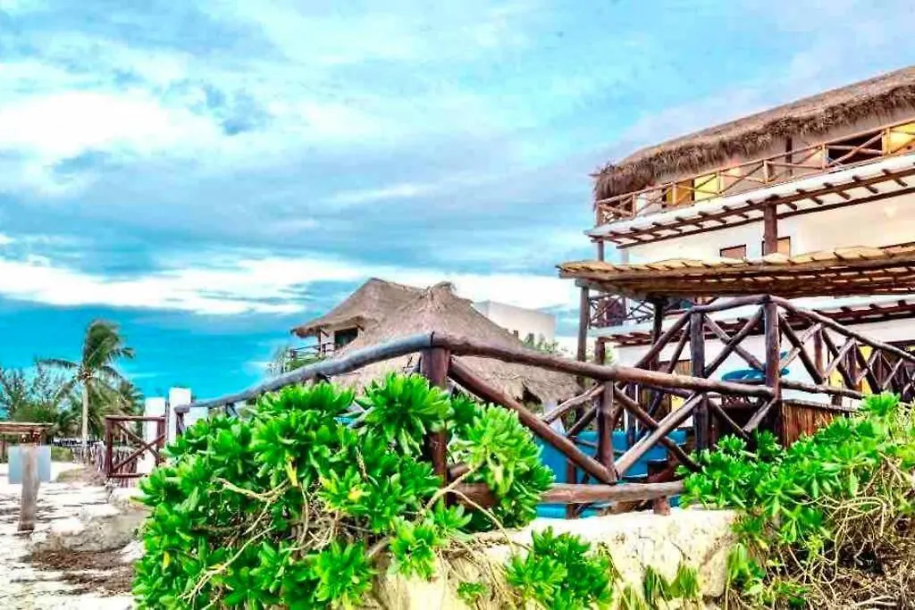 Casa Libelula Beachfront House Isla Holbox Villa