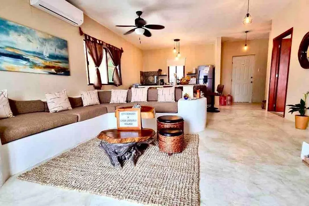Casa Libelula Beachfront House Isla Holbox Villa