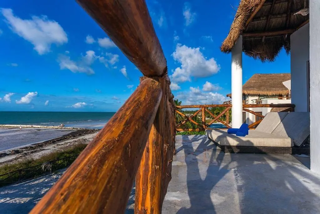Casa Libelula Beachfront House Isla Holbox